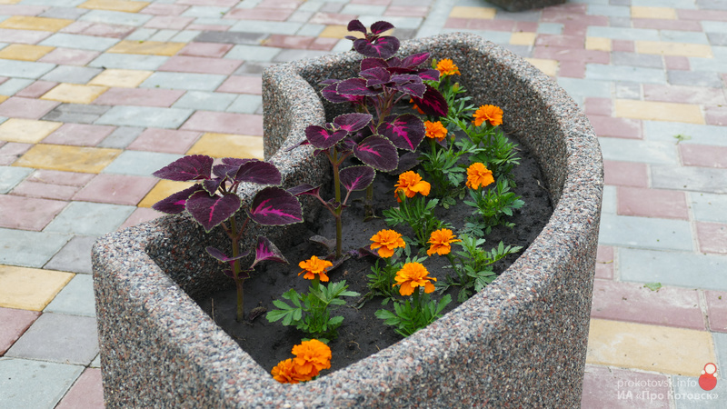 200508flowers1