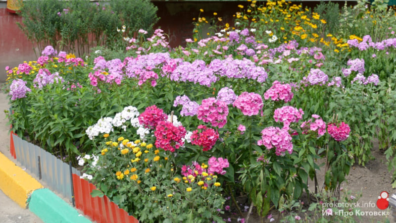 200728flower2
