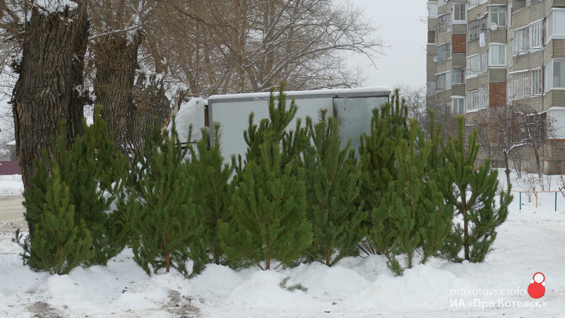 201218trees1