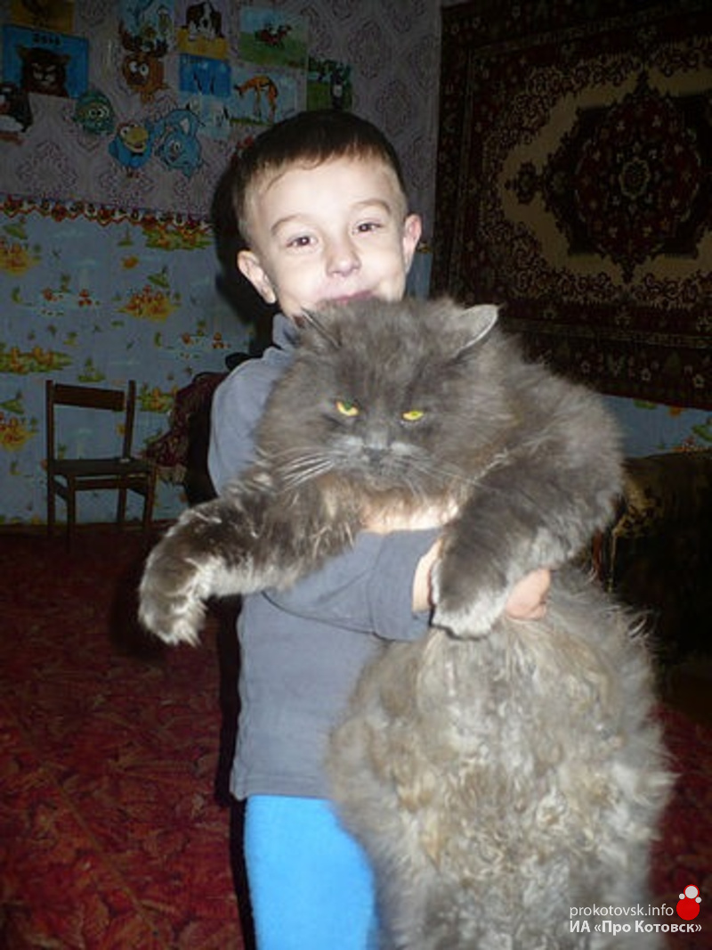 10321cats1