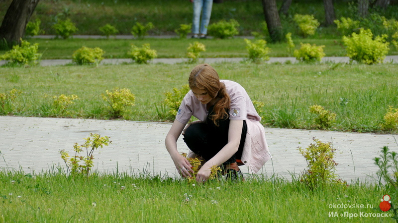 070622trudoustroistvo