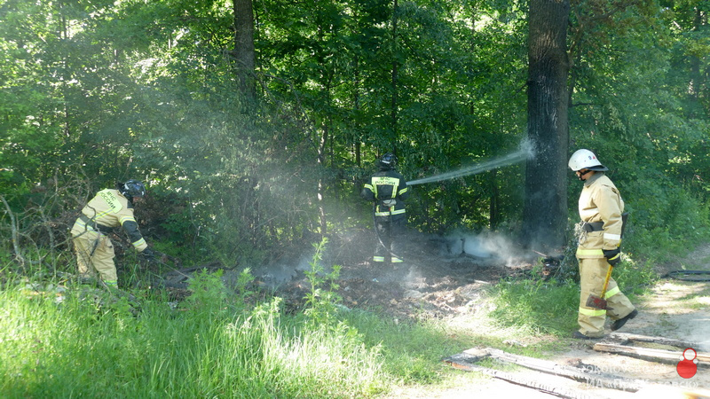 080622pojar