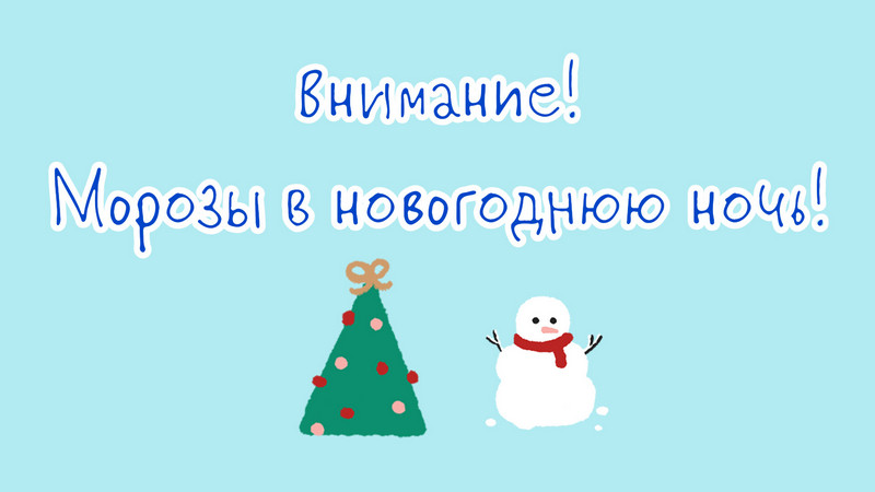 281223morozi