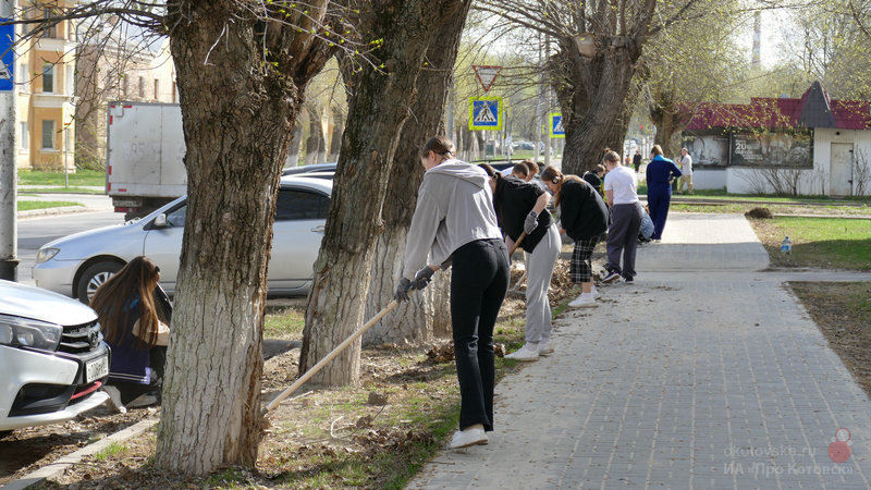 150424yborka2