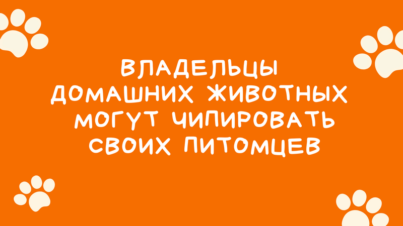 030625bezop